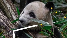 成都世遗马拉松：都江堰一日逛吃线路