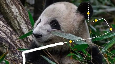 成都世遺馬拉松：都江堰一日逛吃線路