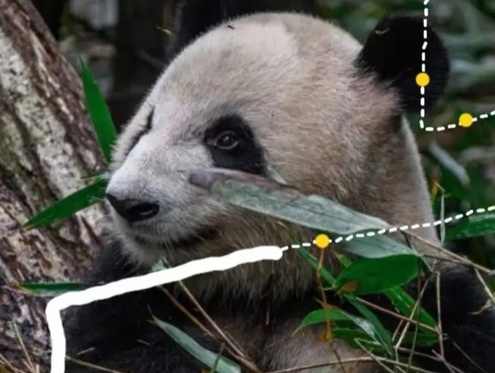 成都世遗马拉松：都江堰一日逛吃线路