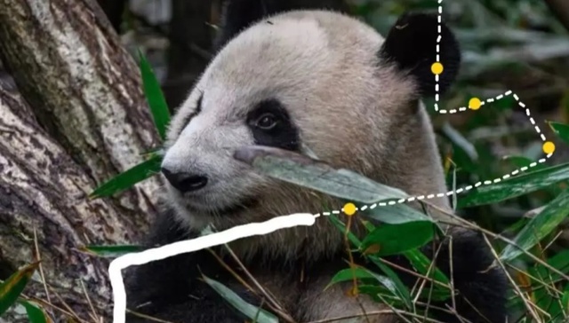 成都世遗马拉松：都江堰一日逛吃线路