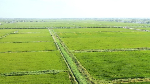 山西文水一基地入选农业农村部首批现代农业科技试验示范基地