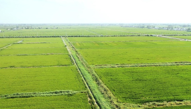 山西文水一基地入选农业农村部首批现代农业科技试验示范基地