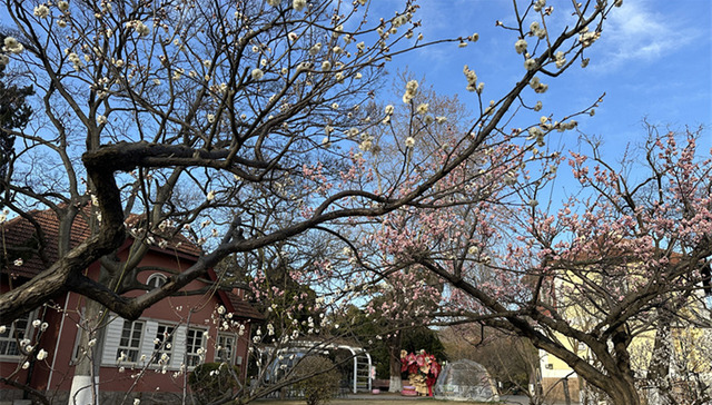 青岛市南：“春日经济”释放新活力