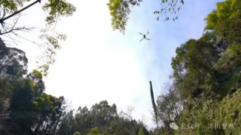 插上“数字”翅膀 乐山市沐川县借“机”腾飞