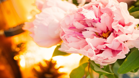 时评 | 吃透“牡丹”的菏泽