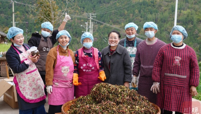 19天成交100万元，深山折耳根如何成电商爆款？