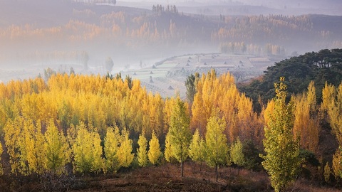 时评 | 玩博会遇见春天：临沂的消费新叙事