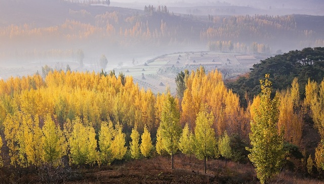 玩博会;临沂;消费新叙事
