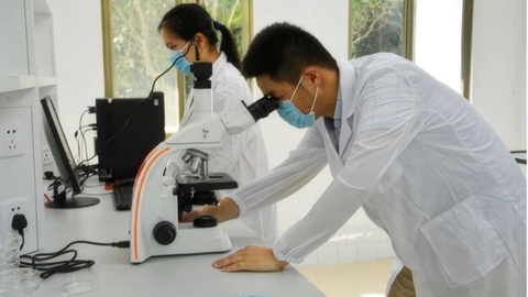 种出500万产值：安徽庐江“90后”返乡青年的羊肚菌故事