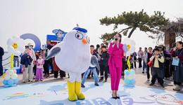 起飞吧朋友 冬天再见 ， 青岛栈桥海鸥春迁主题文旅活动温情启幕