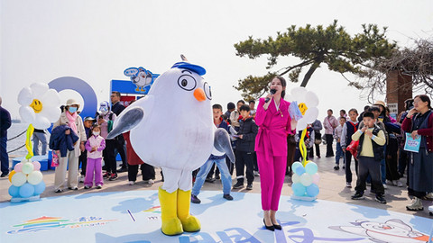 起飞吧朋友 冬天再见 ， 青岛栈桥海鸥春迁主题文旅活动温情启幕