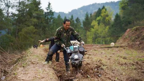 四川巴中恩阳区：盘活闲置土地，推动春耕生产