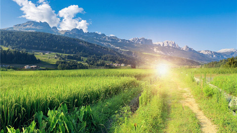時評 | “山東省委一號文件”發(fā)布，如何寫好“農(nóng)”字大文章？