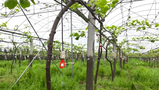 节水即增效：四川以水权改革与绿色金融破局资源约束