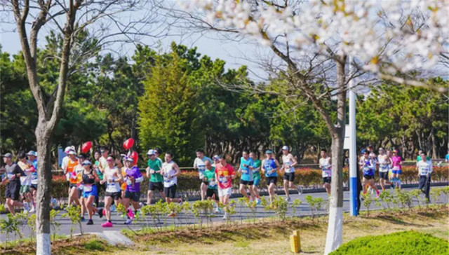 赛道口号征集｜用你的金句，点燃20000跑友的山海之约！