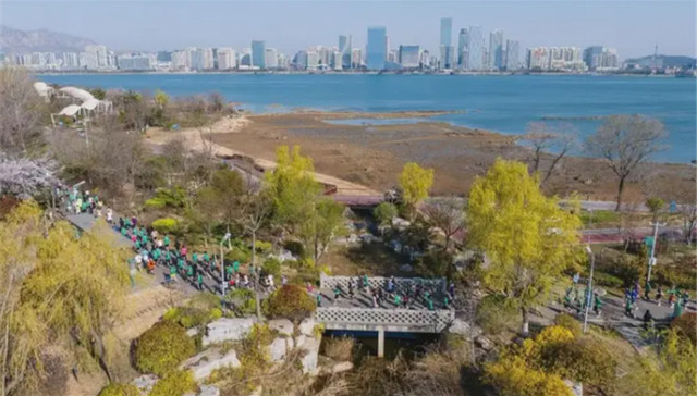 即将截止丨双星名人·2026青岛西海岸半程马拉松明日17:00关闭报名通道