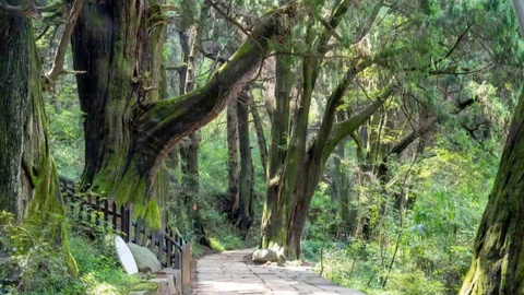 让蜀道再次“C”位出道