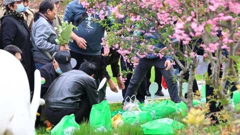 减费用 发奖金！山西真金白银鼓励节地生态安葬