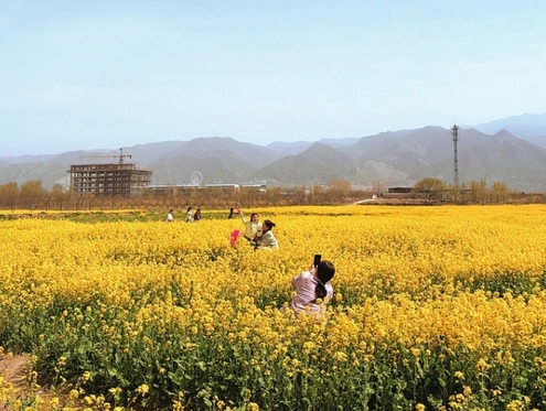 山西運城：河東春早花更香