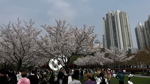 清明假期收官：此前燃油附加费上调预期催生当下“精明出游”，有娃家庭“精打细算花大钱”