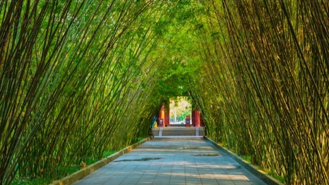 四川第四批林长制创新试点典型案例出炉 10地亮出“林”字号改革新名片