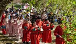 三苏祖籍 樱约如期 石家庄市栾城区第四届国风樱花季盛大启幕
