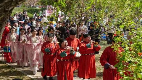 三苏祖籍 樱约如期 石家庄市栾城区第四届国风樱花季盛大启幕