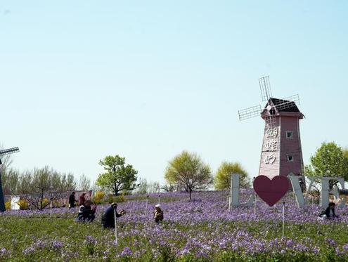 河北迁安：亚滦湾第十届桃花文化旅游节启幕