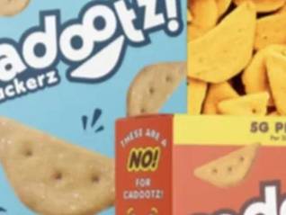 TOPBRAND | Cadootz！获融资；DQ在华操盘手入资鲜芋仙；星巴克中国发布“千店千面”战略；绝味合作可口可乐