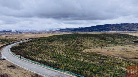 四川首个CCER造林碳汇项目成功登记，它来自一个牧区草原县