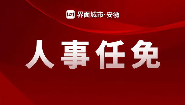 铜陵市人大常委会发布最新人事任免