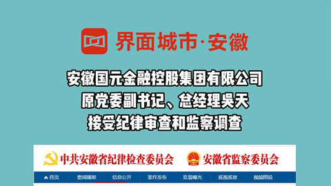 安徽国元金融控股集团有限公司原党委副书记、总经理吴天被查