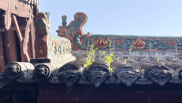 戏韵千年，台阁生风：在晋城展开金元两代时空对话