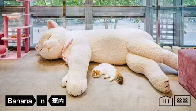 当体感科学遇见成都慢生活：蕉内“丝滑躺平猫咖”限时开启