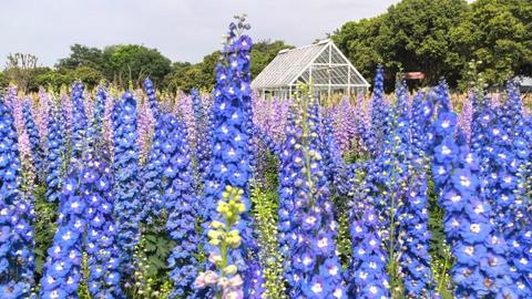 探新成都春季消费图景：体验再升级，不只“买买买”