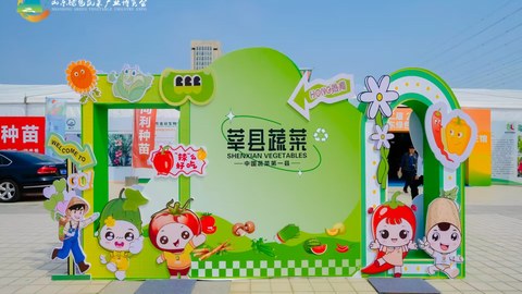 “中国蔬菜第一县”的现代化：莘县何以领跑？