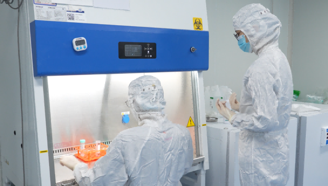 从实验室到临床，合肥竞逐CGT新赛道