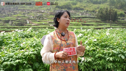 “仲景牡丹皮药材基地的48小时”对话丨武德珍