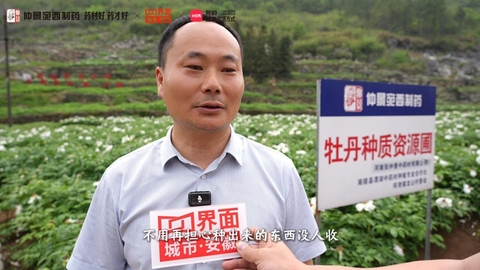 “仲景牡丹皮药材基地的48小时”对话丨汪明喜