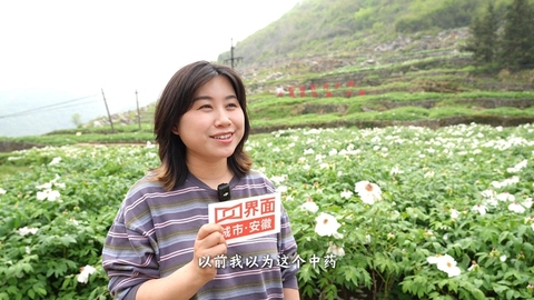 “仲景牡丹皮药材基地的48小时”对话丨张田田