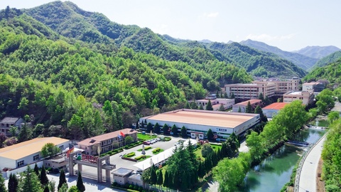 盘龙药业一季报：营收净利同比双降，经营现金流同比增长258%