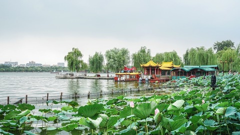 五一来济南，赴一场“泉”城奇遇
