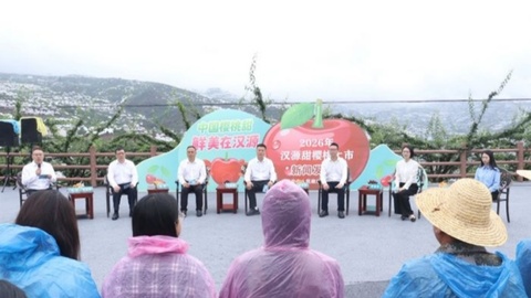 优果率85%以上，物流成本下降18%！汉源甜樱桃长成大产业