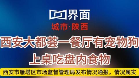 西安大都荟一餐厅有宠物狗上桌吃盘内食物