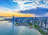 院士领衔，资源汇聚
2026青岛新一代信息技术产业对接大会将于5月29日启幕