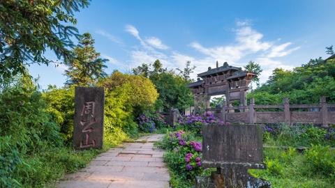 一个山区野玫瑰村如何做到年销千万 ？十里芳菲乡村振兴的“雅安答卷”