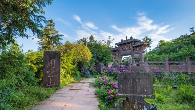 一个山区野玫瑰村如何做到年销千万 ？十里芳菲乡村振兴的“雅安答卷”