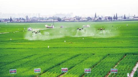 彭山：四年砥砺前行 书写粮丰、业兴、民富新答卷