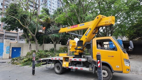最快半小时处置完毕，“民意直通车”启动首日，这些地方灯亮、路平
