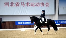 逐风驭马 竞绽芳华——河北省青少年马术锦标赛在栾城火热开赛
